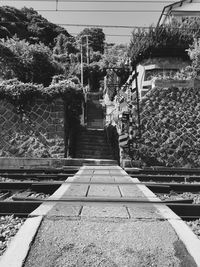 Railway tracks amidst trees against sky