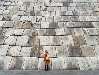 Rear view of a woman standing on wall