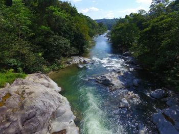 Scenic view of waterfall in forest