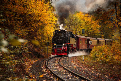 Steam train against trees during autumn