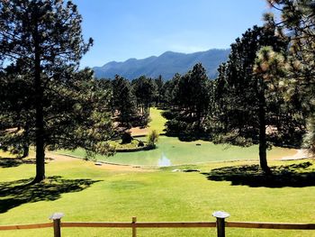 Scenic view of golf course against sky