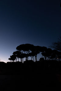 Silhouette trees on field against clear sky
