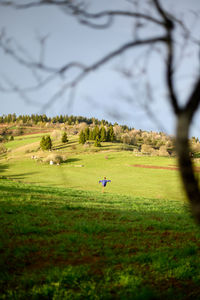 Scenic view of golf course