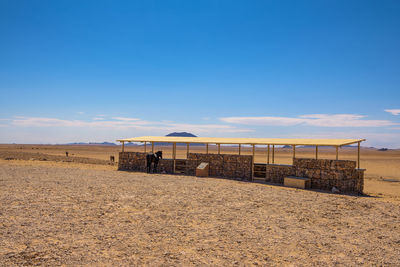 Scenic view of beach against blue sky