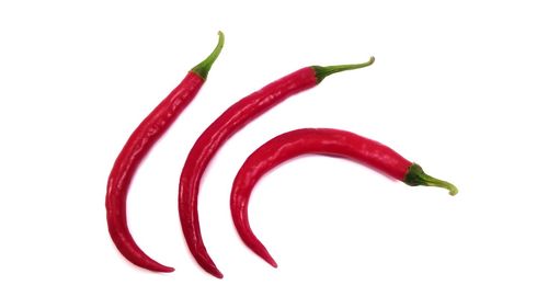 Close-up of red chili pepper against white background