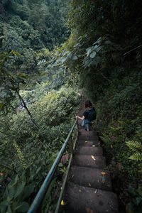 Rear view of man on staircase in forest