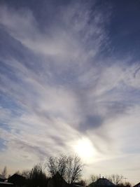 Low angle view of silhouette trees against sky