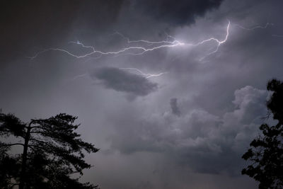 Low angle view of lightning in sky