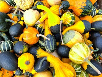 High angle view of pumpkins in market