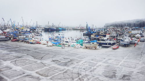 Boats in harbor