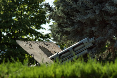 Close-up of weapon against trees