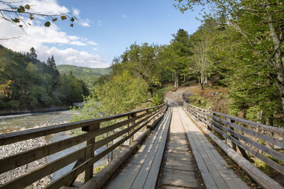 Wooden bridge to the trees against sky