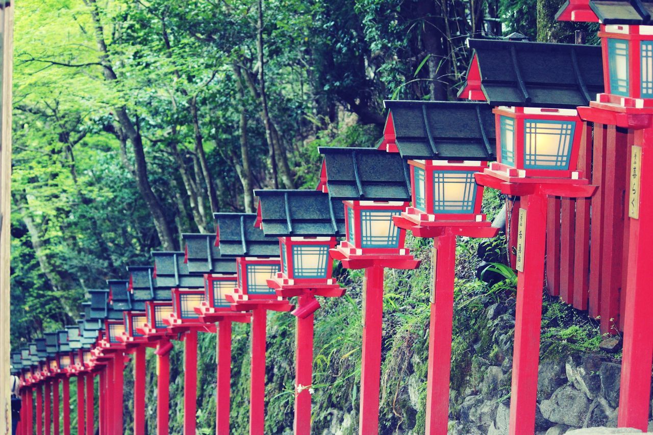 red, tree, built structure, architecture, railing, building exterior, growth, day, house, metal, green color, no people, outdoors, fence, in a row, auto post production filter, nature, hanging, plant, protection