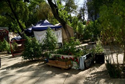 View of empty chairs against trees and plants in city