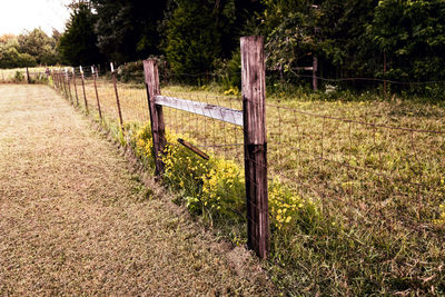 Footpath by fence on field