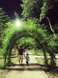 People walking on footpath in park