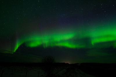 Low angle view of sky at night