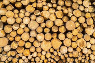 Full frame shot of logs in forest