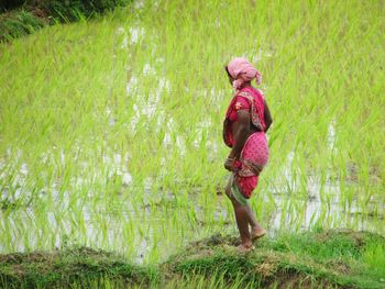 Indian village woman standing on field high resolution stock photography