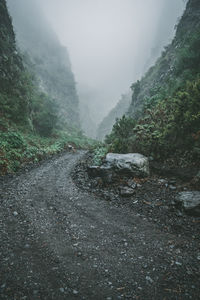 Road amidst trees against sky during rainy season