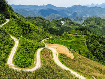 High angle view of agricultural landscape