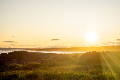 Scenic view of field against sky during sunset