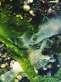 Full frame shot of water