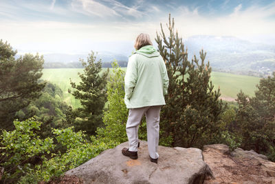 Rear view of man standing on rock looking at mountain