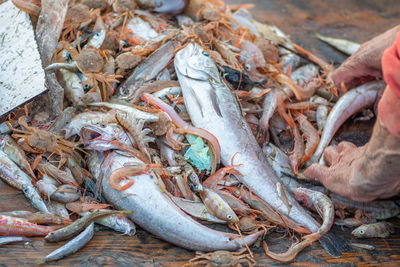seafood