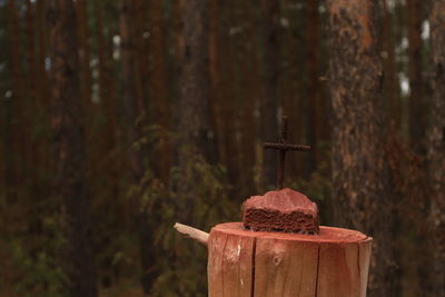 Close-up of cross on wood in forest