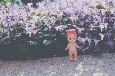 Close-up of doll by flowers