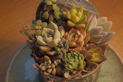 High angle view of fruits on table