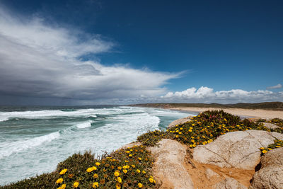 Scenic view of sea against sky