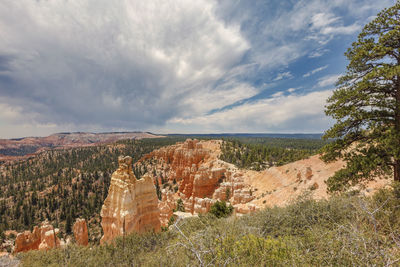 Nature scenery with cloudy sky