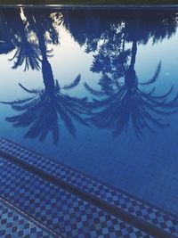 Reflection of trees in water