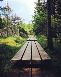 Walkway amidst trees on field against sky