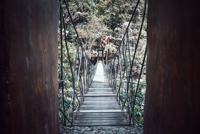 Narrow footbridge amidst trees in forest