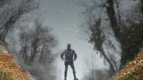 High angle view of man swimming in water