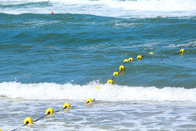 The road  in the sea is also marked