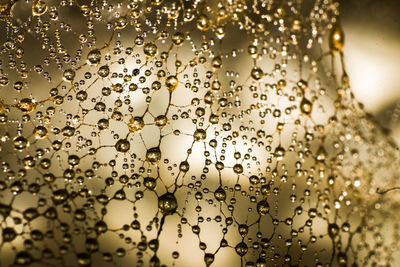 Close-up of water drops on glass window