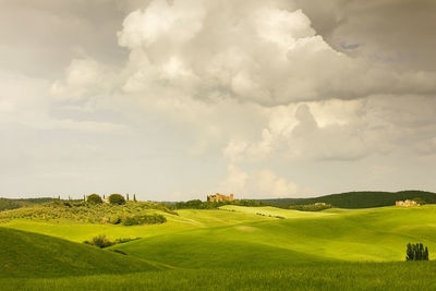 Scenic view of agricultural field against sky