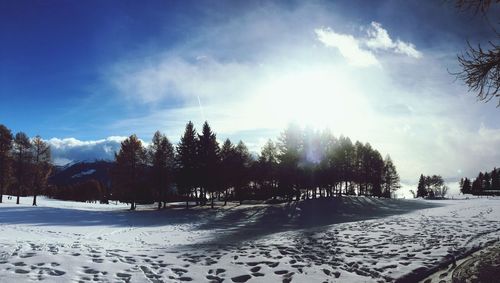 Trees on snow covered landscape against sky