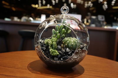 Close-up of plants on table