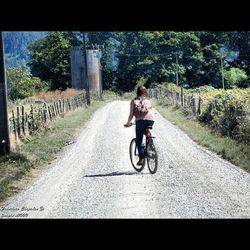 transportation