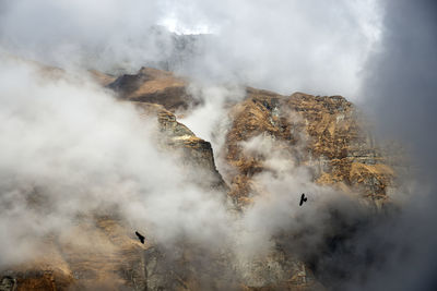 Panoramic view of mountains and clods with blackbird against sky