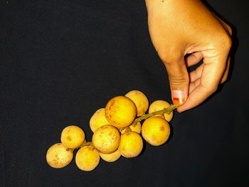 Midsection of woman holding fruit against black background