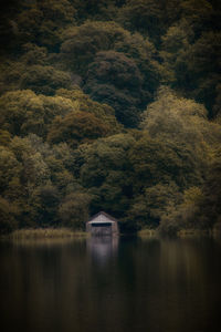 Scenic view of lake by trees in forest