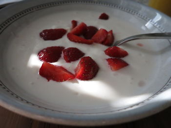 Close-up of served in plate