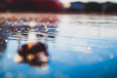 Close-up of swimming pool