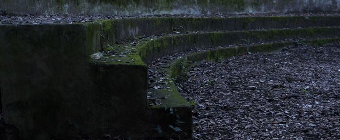 Scenic view of agricultural landscape